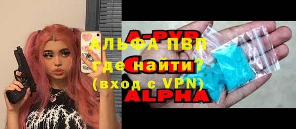 МДПВ Бородино