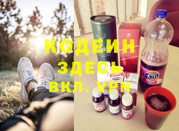 МДПВ Бородино