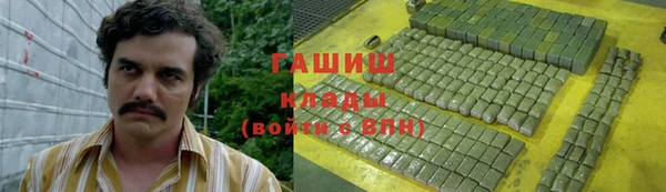 МДПВ Бородино