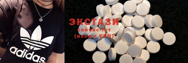 МДПВ Бородино