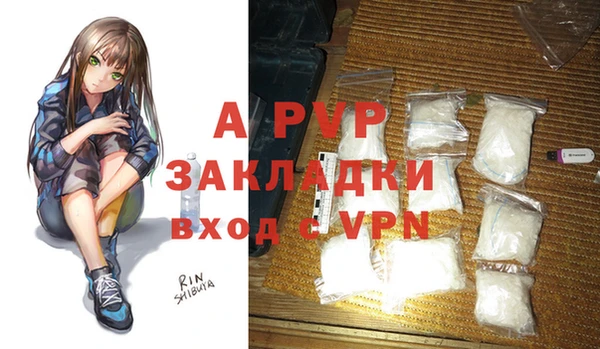 МДПВ Бородино