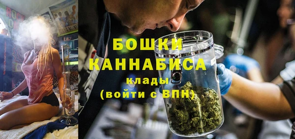 МДПВ Бородино