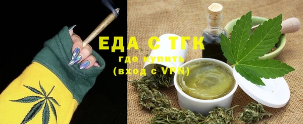 МДПВ Бородино