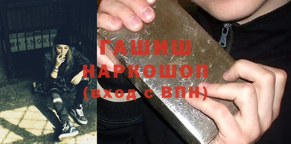 МДПВ Бородино