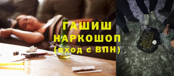 МДПВ Бородино