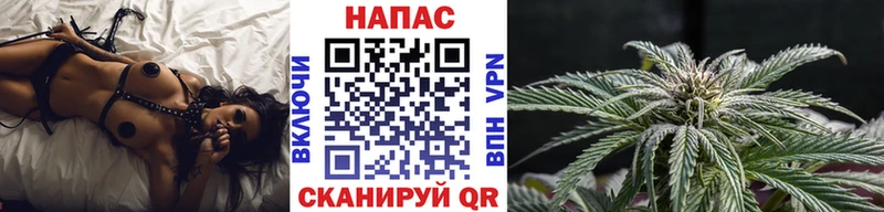 Купить закладки  Вязники  Бошки Шишки планчик 